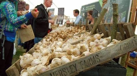Isle of Wight Garlic Festival 